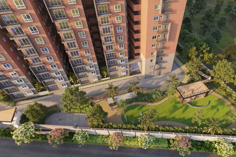 Garden - top view